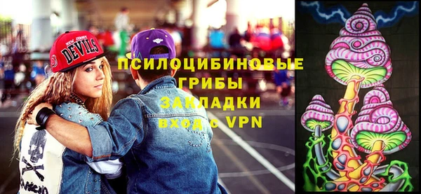 дурь Алексин
