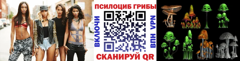 Псилоцибиновые грибы ЛСД  маркетплейс какой сайт  Алексин  KRAKEN ССЫЛКА 