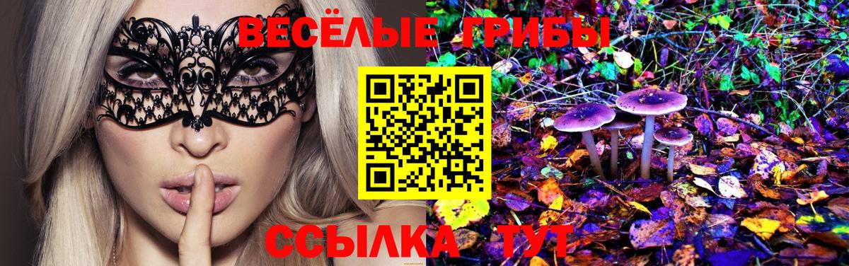 купить   Вход с VPN  Алексин  Псилоцибиновые грибы ЛСД 